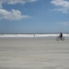 A view of Folly Beach (Blast staff photo/Erica Marcus)