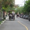 Classic Charleston carriage rides will show you the city (Blast staff photo/Erica Marcus)