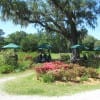 The gardens at Magnolia Plantation are breathtaking (Blast staff photo/Erica Marcus)